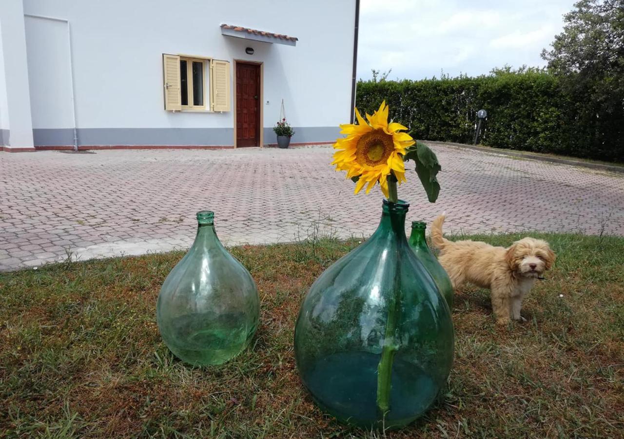 تيرامو Casa Amrita, Yoga B&B المظهر الخارجي الصورة